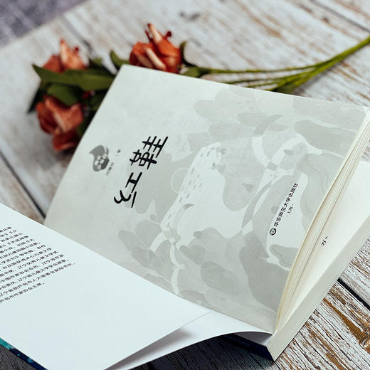 烽火少年行 红鞋+日食 爱国主义教育读物 抗战故事 商品图10