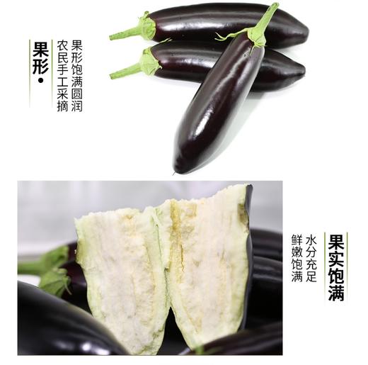 长茄约500g【BC】【QC】 商品图2