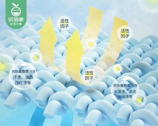 意大利大公鸡管家衣领净/1瓶（500ml）限用日期：29年1月补单专用 商品图2