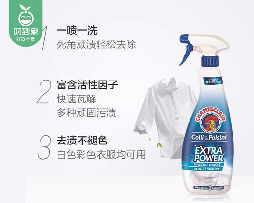 意大利大公鸡管家衣领净/1瓶（500ml）限用日期：29年1月补单专用 商品图1