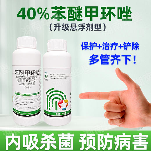 40%苯醚甲环唑悬浮剂广信老牌子正牌香蕉叶斑病正品农用杀菌剂 商品图2