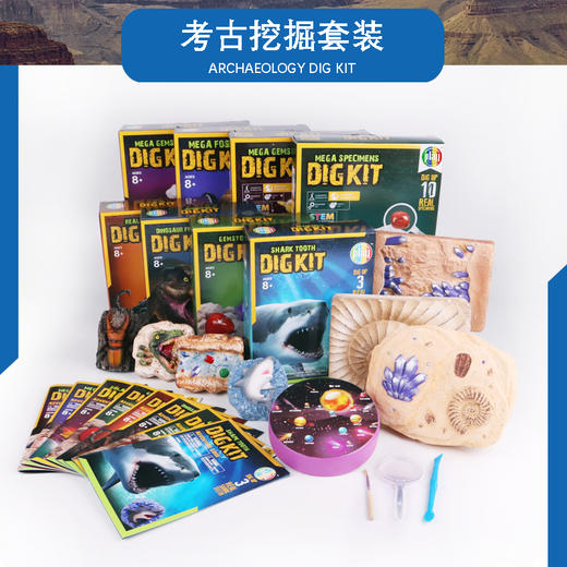 DIG KIT儿童考古玩具恐龙套装 | 国家地理同款、简单好挖、不伤手、培养孩子专注力、动手能力 商品图5