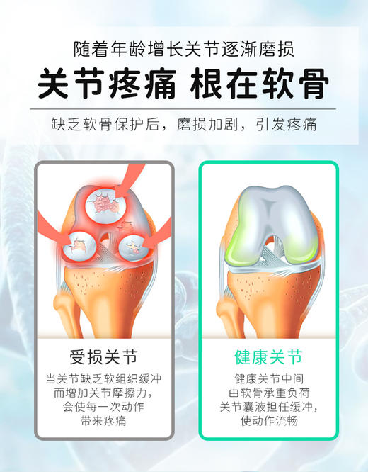 小宠关节康5gX10包  关节保健 商品图1