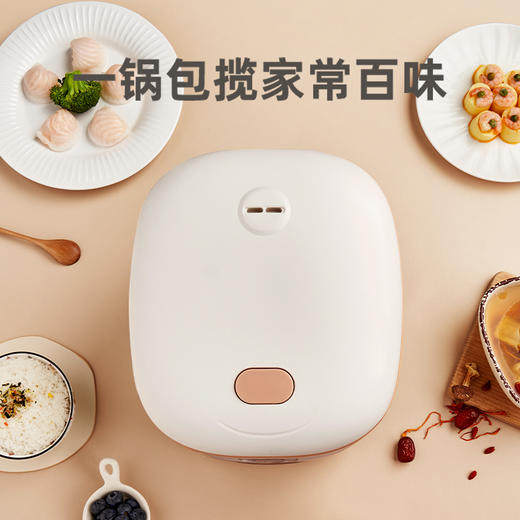 优益YOICE 智能电饭煲Y-MFB22E迷你电饭煲 商品图3