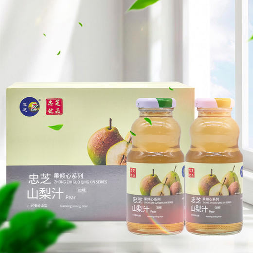 忠芝树莓汁/白烨树汁/蓝莓汁/山梨汁饮料248ml*6瓶起整箱果汁饮品 商品图2