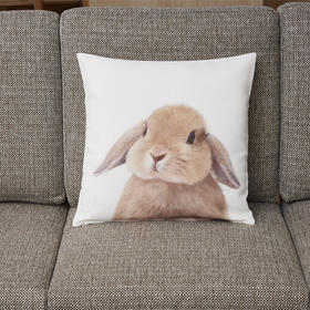 靠垫套 垂耳兔SC029 约45*45cm