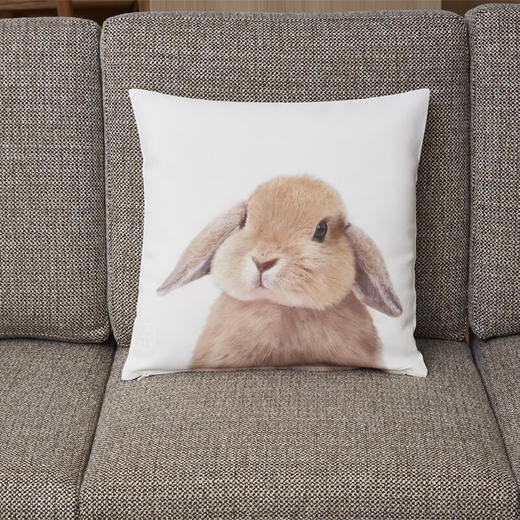 靠垫套 垂耳兔SC029 约45*45cm 商品图0