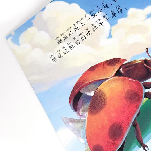 奇趣大自然科普绘本第1辑 全8册 蝴蝶 商品图4