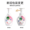 滴露（Dettol）泡沫抑菌洗手液花香型250ml*2 商品缩略图4
