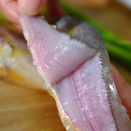 舟山野生小黄鱼 | 舟山本地雷达网海捕 肉质丰腴肥美 油脂丰厚鲜嫩 新鲜刺少 蒜瓣肉紧实有弹性 条条精选营养丰富 商品图11