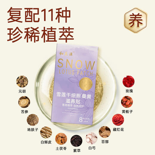 英贝健桑黄雪莲贴 8贴/盒 商品图5