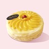 芒果千层 商品缩略图0