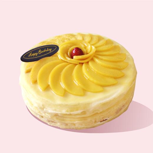 芒果千层 商品图0