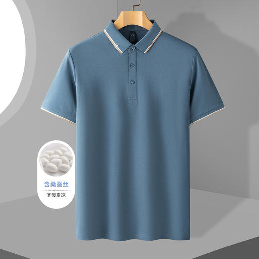 罗蒙男士夏季商务男士t恤短袖polo衫舒适男polo衫短袖 商品图1