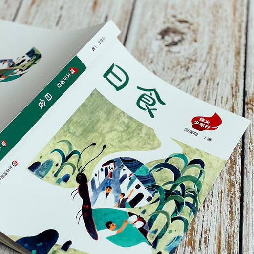 烽火少年行 红鞋+日食 爱国主义教育读物 抗战故事 商品图9