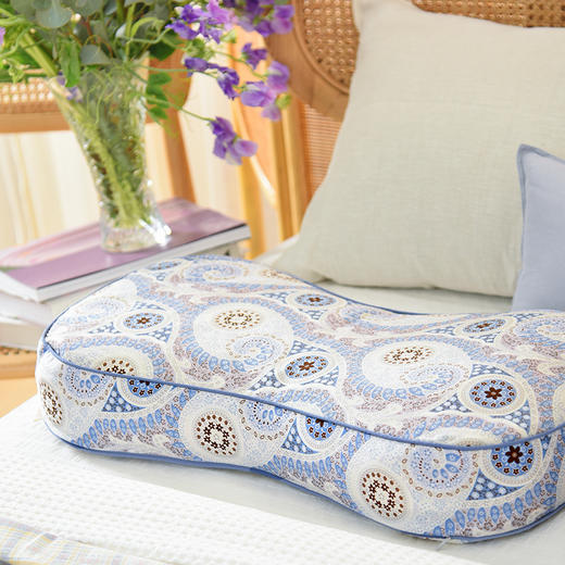 佩斯利系列曲线枕荞麦壳枕头护颈椎病荞麦皮睡眠四季 商品图1