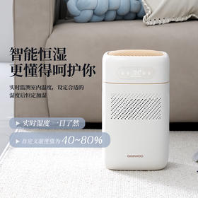 大宇纯净型无雾加湿器PH02S