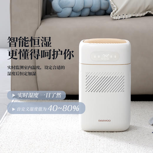 大宇纯净型无雾加湿器PH02S 商品图0