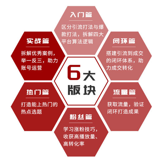 引流获客 实体流量运营全攻略 短视频营销直播运营实战 新媒体引流线下成交有效转化复购 抖音视频号小红书快手多平台教程书籍 商品图6