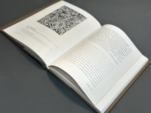 4月新书预售：《地文》 商品图1