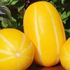 【直播钜惠】新鲜水果  黄金蜜瓜1-1.2斤/个 商品缩略图2