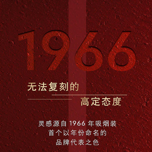 【跨境】YSL圣罗兰 小金条细管口红 #1966棕红 商品图2