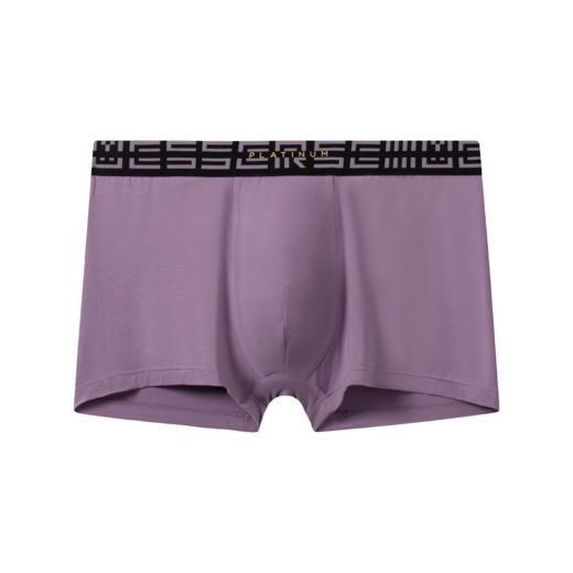 【超值莫代尔】SCHESSER 德国舒雅铂雅92%莫代尔+8%氨纶男平角裤95/23022T 商品图2