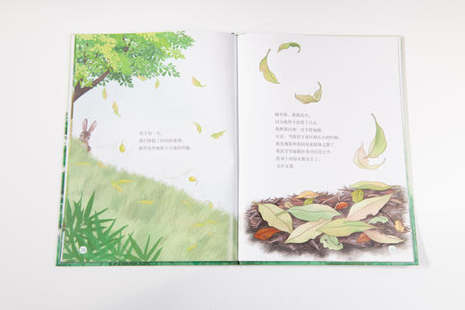 不再孤独的紫荆木 978-7-5219-2424-4 商品图4