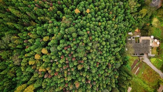 【大邑西岭雪山#206号院】5房温泉私汤院子，山间独栋，萤火虫，带秋千、超大庭院、地暖、临溪靠山、避暑玩水、枫叶、雪景、采摘、溪谷捕鱼、钓鱼xxyj 商品图1