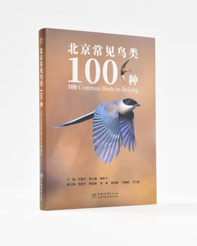 北京常见鸟类100种 2485