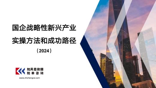 资料｜国企战略性新兴产业实操方法和成功路径（2024） 商品图0