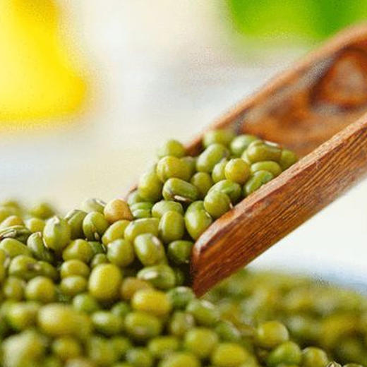 每食安精选东北绿豆400g*2 商品图3