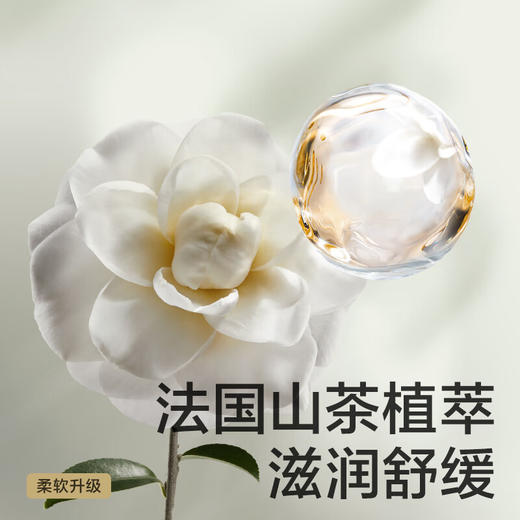 BC山茶花纸尿裤XL码  36片/包 商品图3