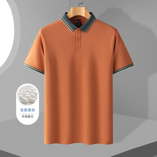 【含桑蚕丝】罗蒙夏季男士polo衫商务休闲百搭男士t恤短袖polo衫 商品图2