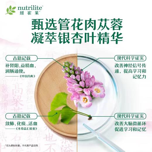 NCL银杏叶苁蓉片[每片都有松果菊苷和总黄酮醇苷] 商品图1