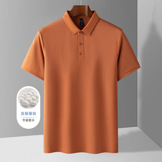 【含桑蚕丝】罗蒙夏季休闲男士t恤短袖polo衫商务polo衫男短袖 商品图8
