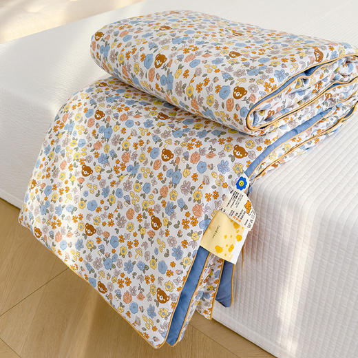 A类母婴级【夏凉被 双层纱空调被】可水洗机洗夏被 夏季儿童薄被子 商品图5