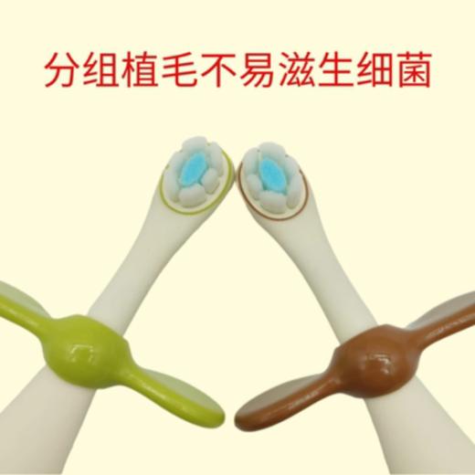 世喜训练牙刷（两只装） 商品图2