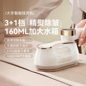 大宇挂烫机电熨斗便捷式HI-042