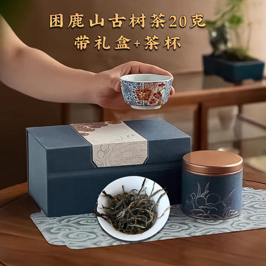 【2024春茶】困鹿山核心产区古树醇料散茶头春茶 商品图2