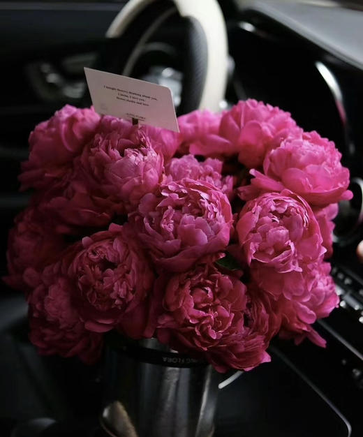 【红艳奔放】芍药-莎拉  红色 5枝/扎 商品图0