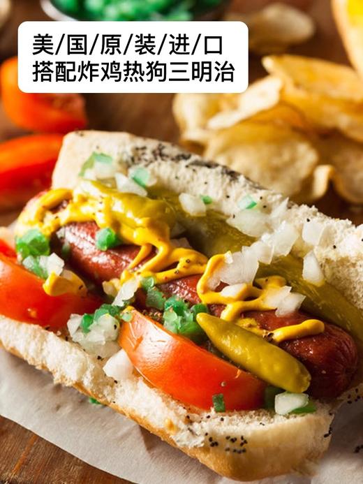 【中欧班列精选】美国进口纷乐旗牌黄芥末酱226g小包装美式热狗汉堡沙拉三明治酱料 商品图5