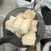 灯心草 商品缩略图4