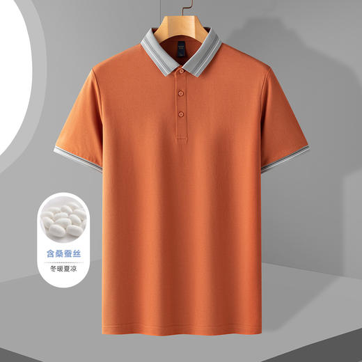 【含桑蚕丝】罗蒙男士夏季polo衫商务休闲舒适男士t恤短袖polo衫 商品图2