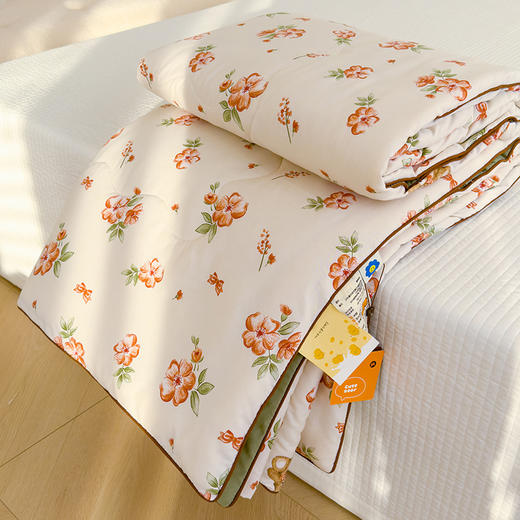 A类母婴级【夏凉被 双层纱空调被】可水洗机洗夏被 夏季儿童薄被子 商品图7