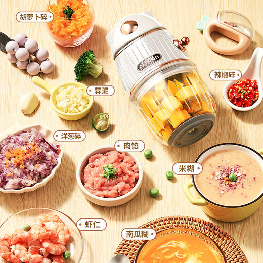 浦利顿辅食机双档辅食机带赠PLD-FS-630 商品图2