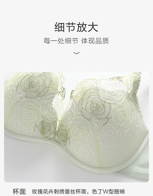 5F 安莉芳繁花系列性感蕾丝无钢圈小胸聚拢文胸 商品图6