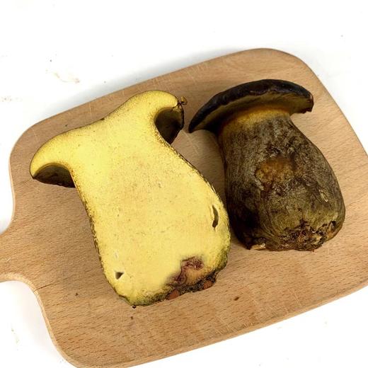黑牛肝菌 鲜 商品图2