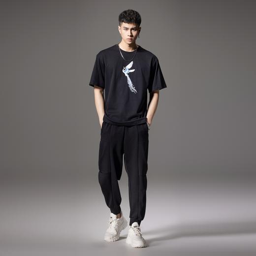 PINLI品立新中式2024夏季新款国潮飞鸟短袖T恤男士贴布绣休闲上衣BG242111058 商品图4