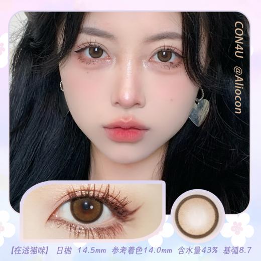 Con4u 在逃猫咪 14.5mm【日抛10片/盒】 商品图0